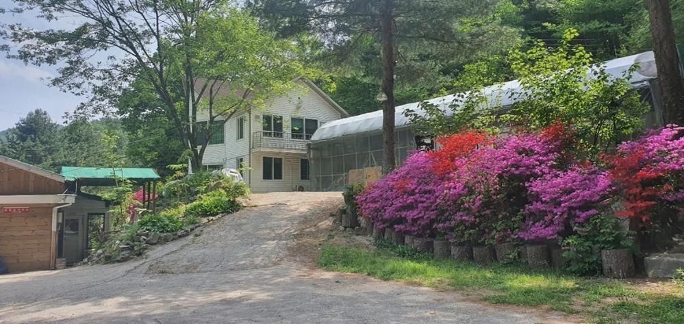 Hwacheon Sintobule Pension Exterior foto